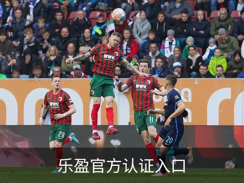 关于乐盈官方认证入口